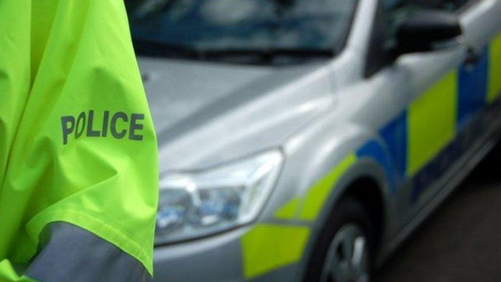 Police officer and car