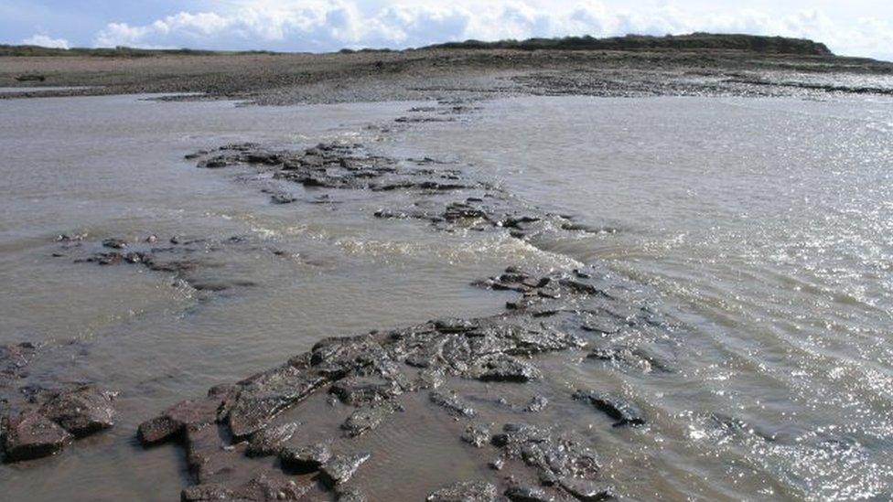 Causeway at Sully Island