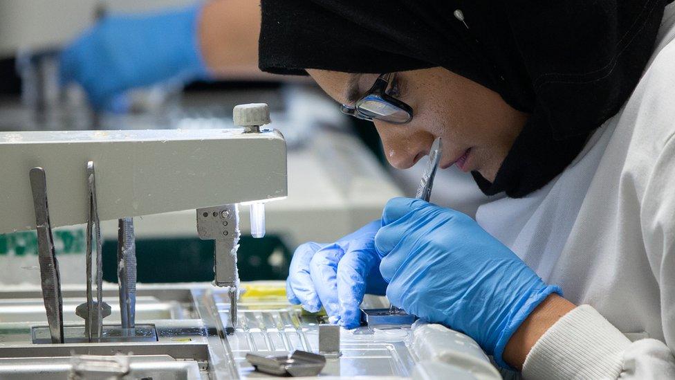 Woman analysing human tissue cells