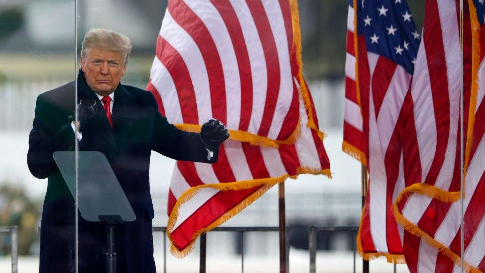 Donald Trump at the stop the steal march