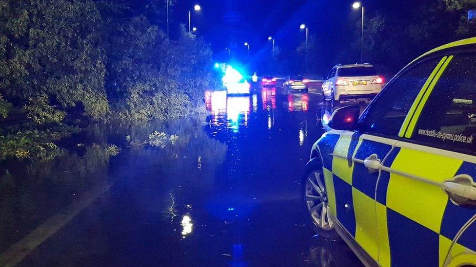 A fallen tree on the A470