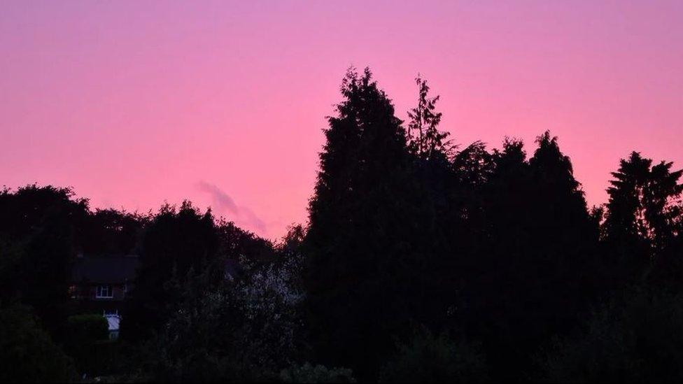 Pink sky with trees and a house underneath it