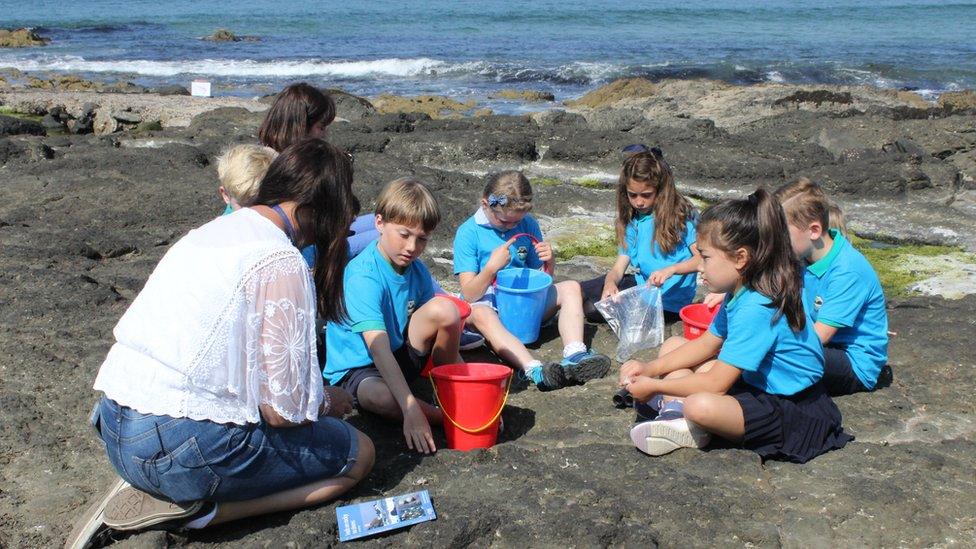 Outdoor Detectives from Mill Strand Primary School in Portrush exploring rock pools