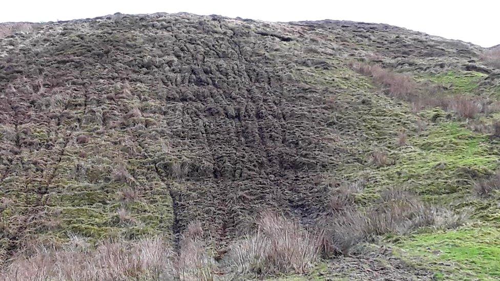 Damaged peatland