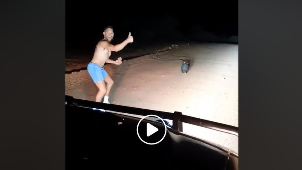 A screenshot of the video shows a shirtless man with a rock in his hand giving a thumbs up to the camera and the wombat runs away from him.