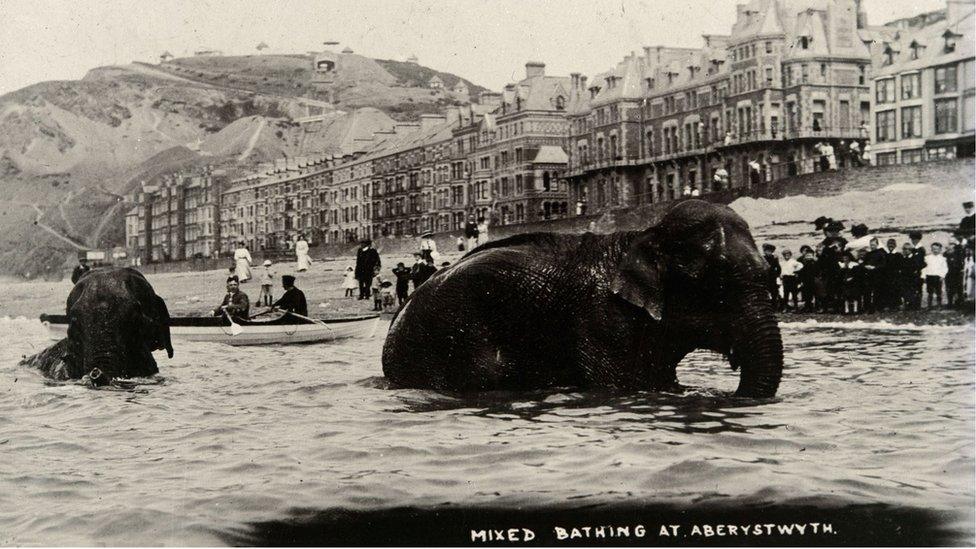 Llun 'Mixed Bathing in Aberystwyth' gan Arthur Lewis