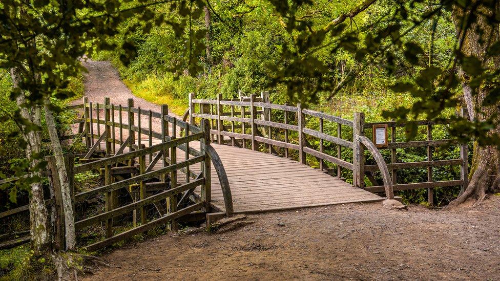 Bridge which replaced the original poohsticks bridge