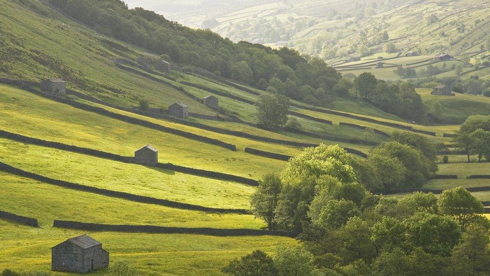 Yorkshire Dales