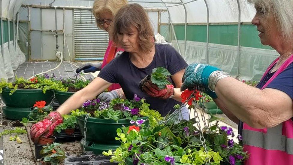 Women planting hanging baskets in a polytunnel