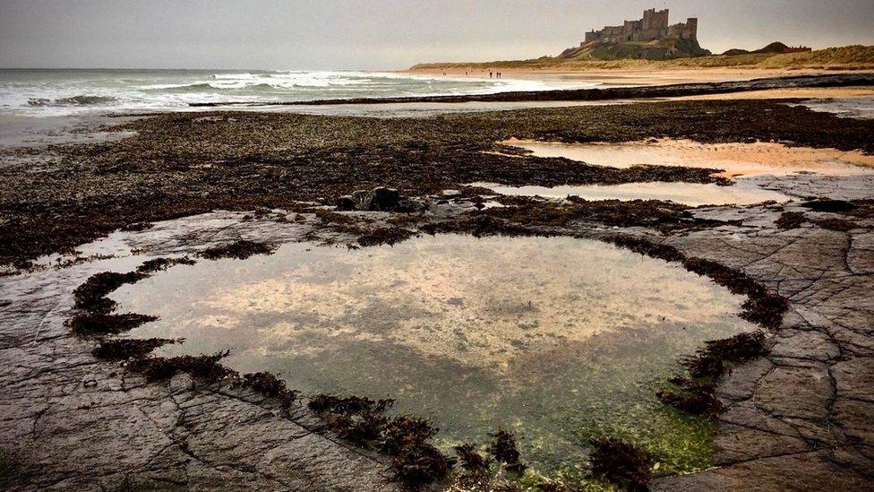 Heart-shaped pool on a beach in Bamburgh, Northumberland