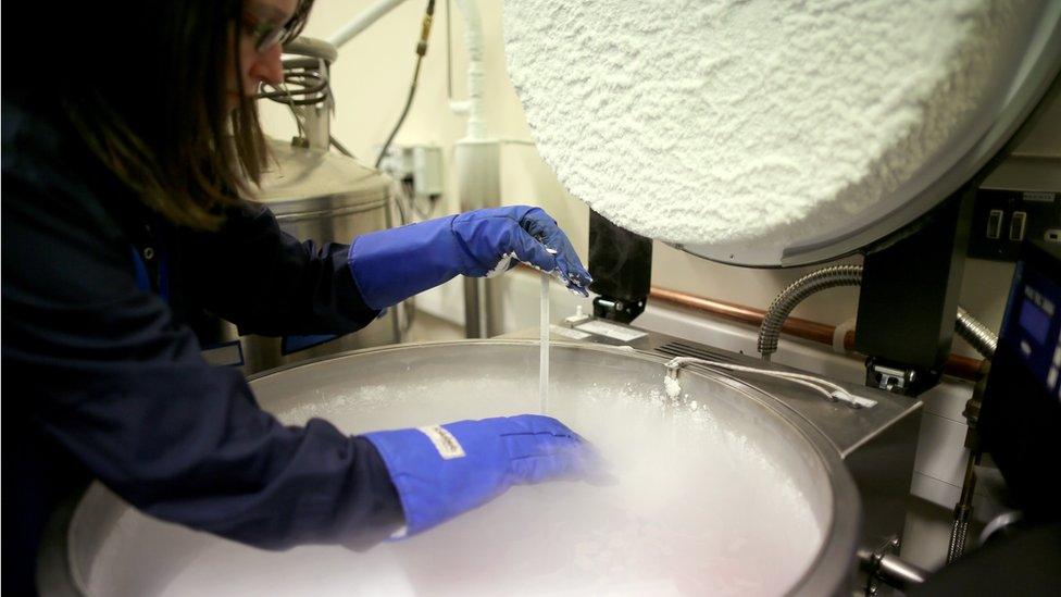 Health care practitioner monitors sperm samples in the cryo store