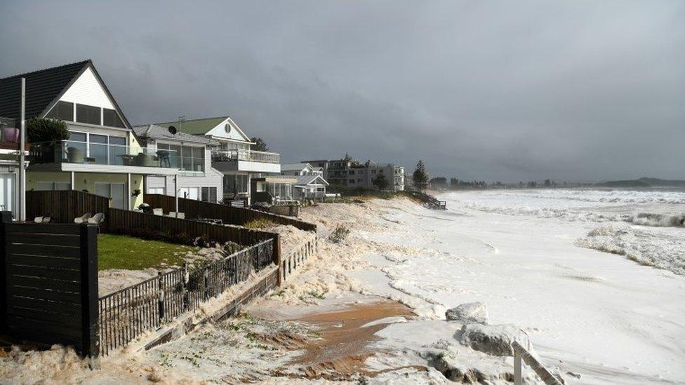 Sea foam on the beach at Collaroy, Sydney (10 Feb 2020)