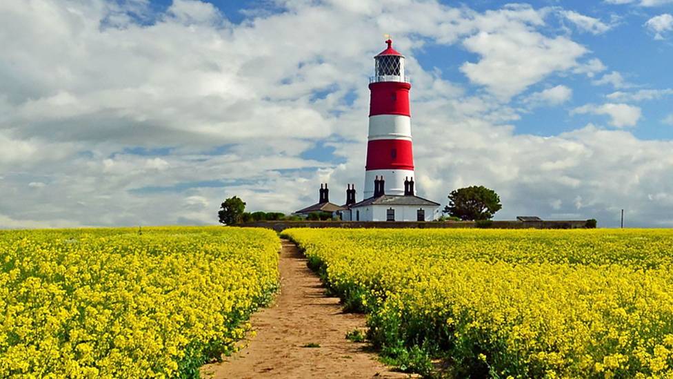 Norfolk Day - windmill and rapeseed field