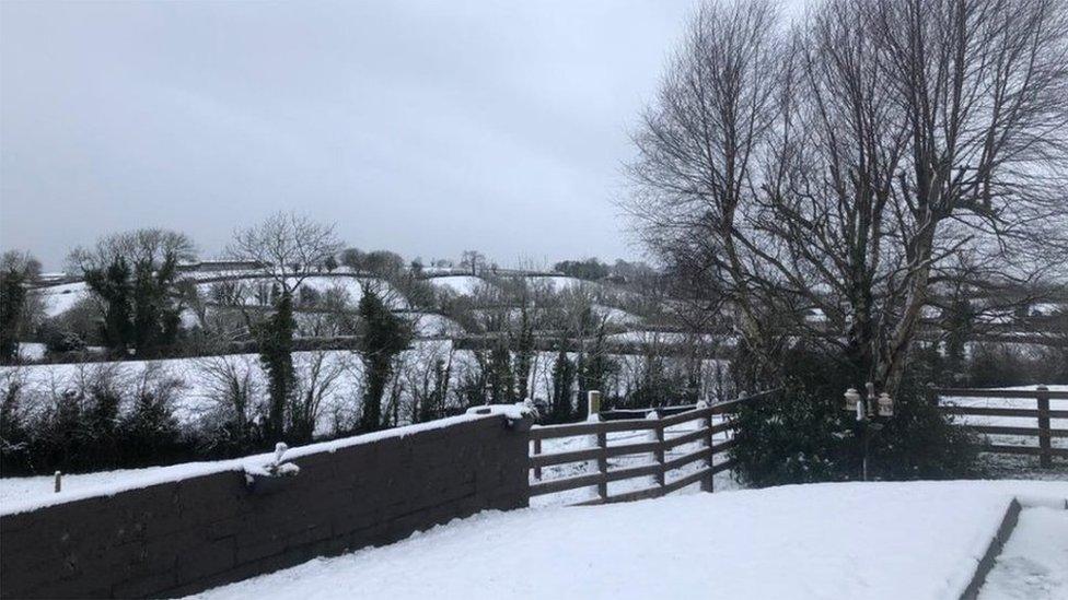 Snow covered garden