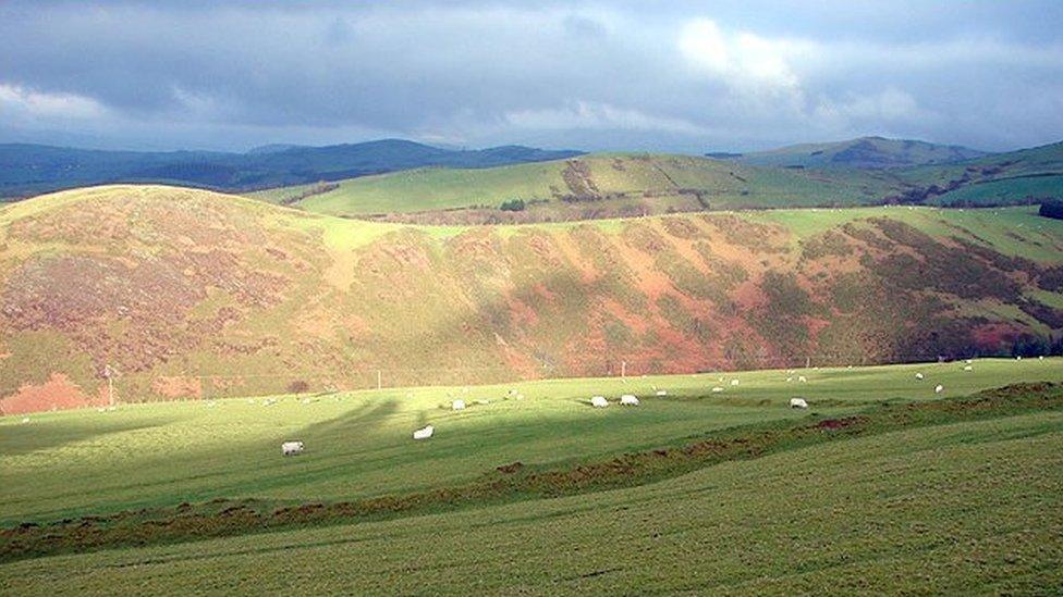 Mae bod yng nghysgod bryniau Cymru wedi gwneud i Eric deimlo'n gartrefol