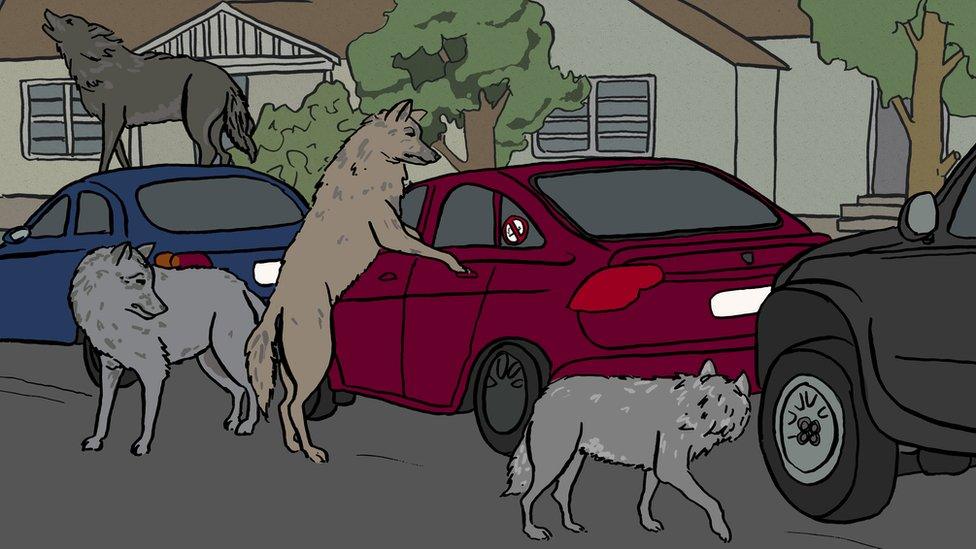 Illustration of Uber drivers surrounded by wolves