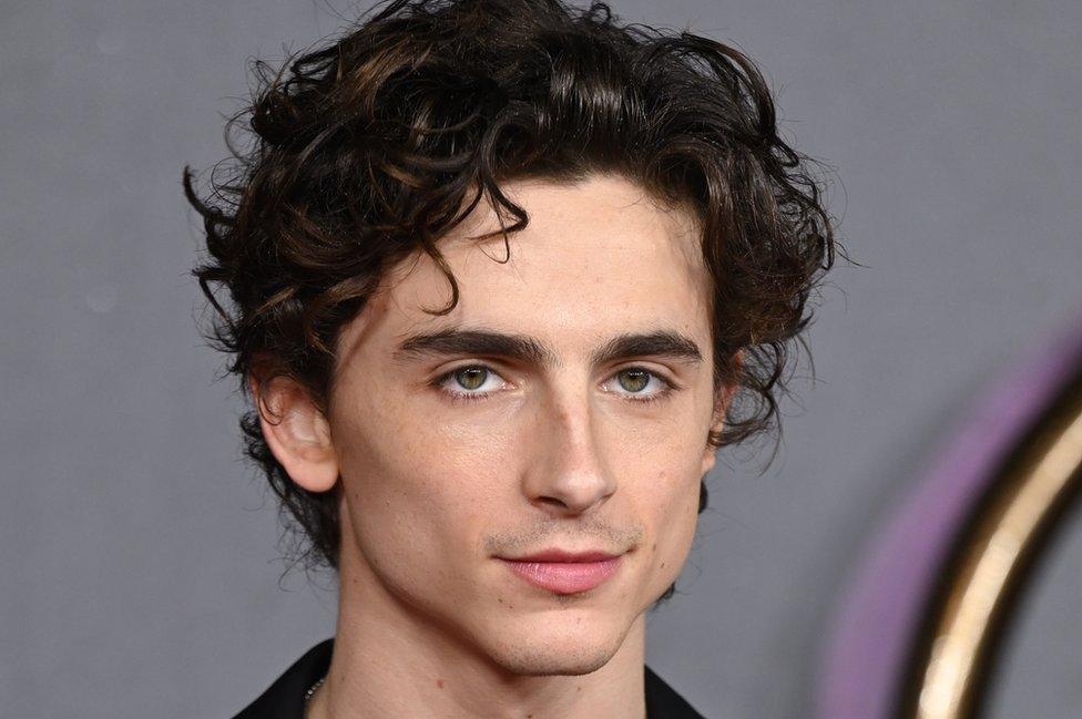 Timothée Chalamet (file photo)