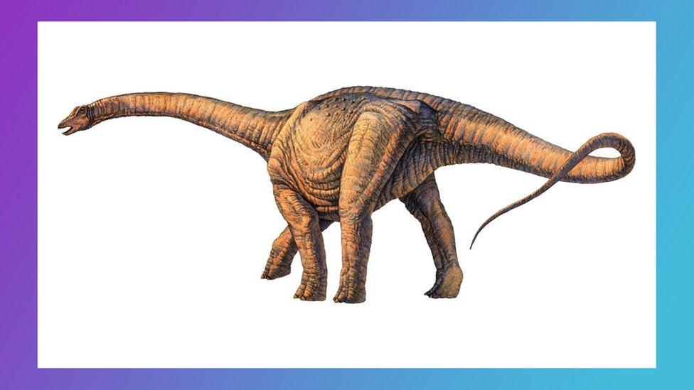 an-artists-impression-of-a-sauropod-dinosaur.