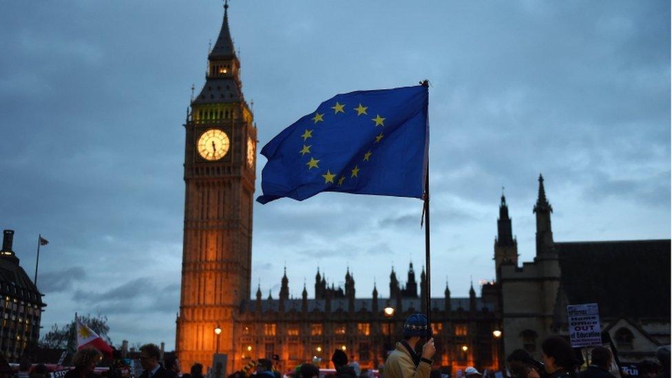 Houses of Parliament EU migrant protest