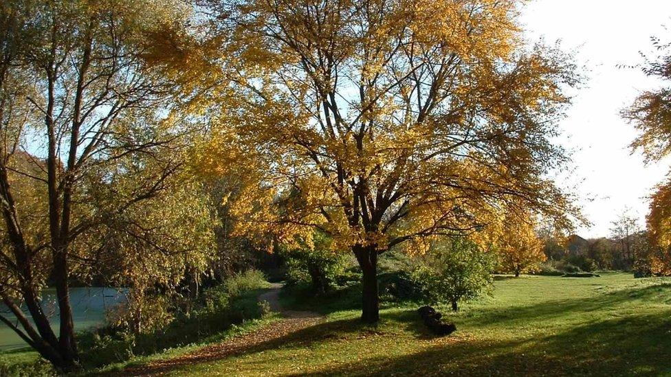 Brickfields Country Park