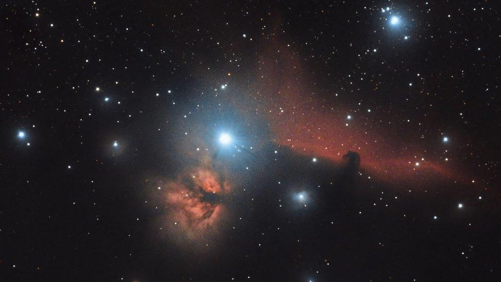 Horsehead and Flame Nebula