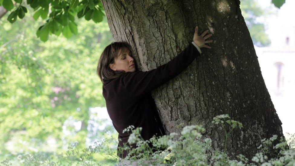 Woman hugging a tree