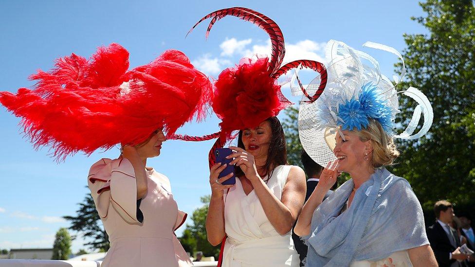 Ascot hats