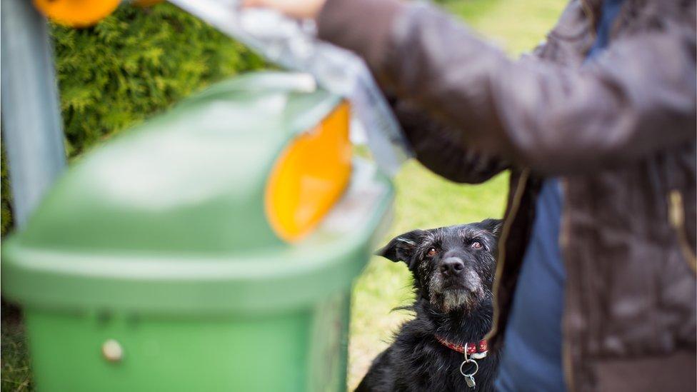 Woman picking dog litter