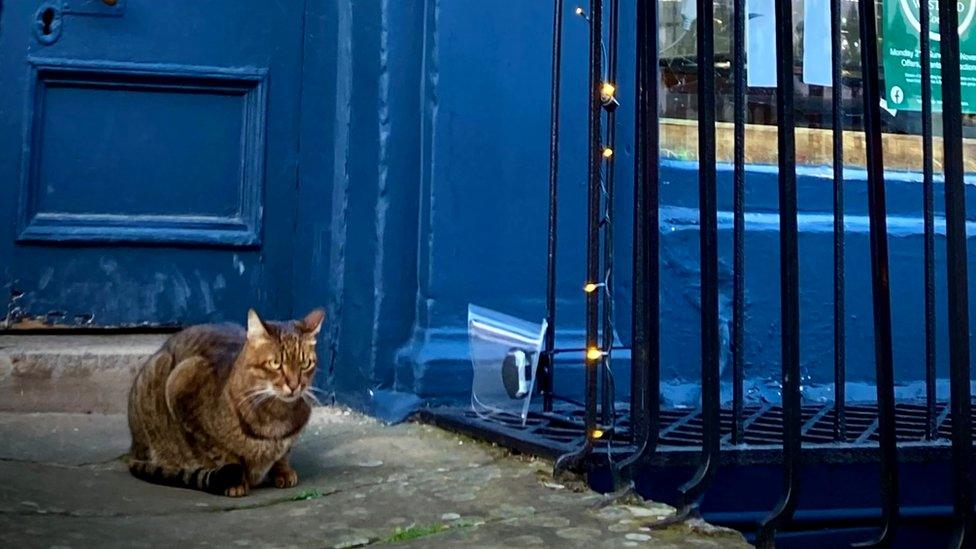 Hugo sits on a stone step