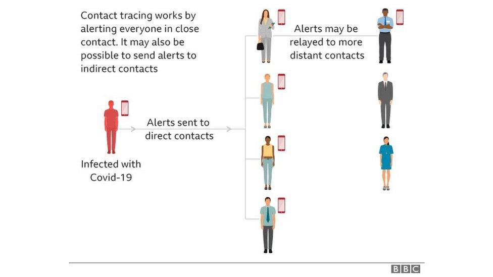 contact-tracing-explained.