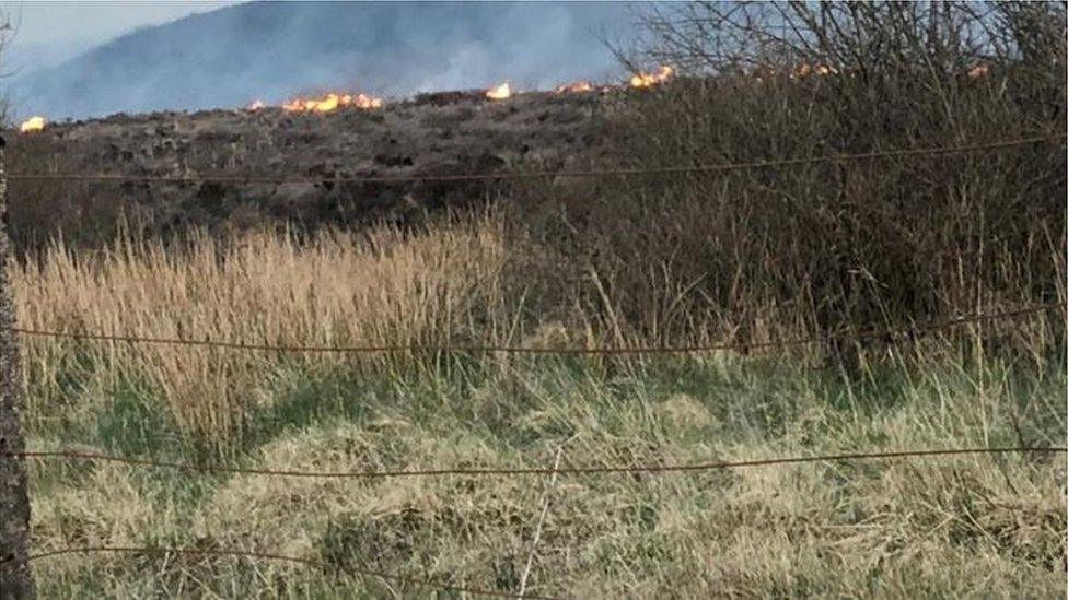 Gorse fire