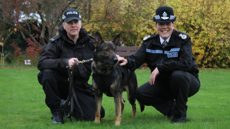 Police dog with vest