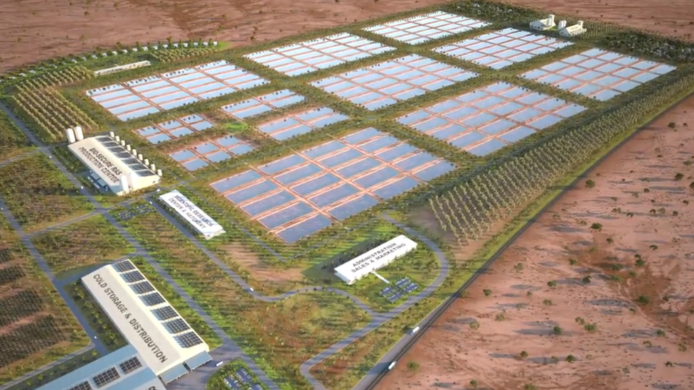 Artist's impression of Mainstream Aquaculture's planned farm in Arizona