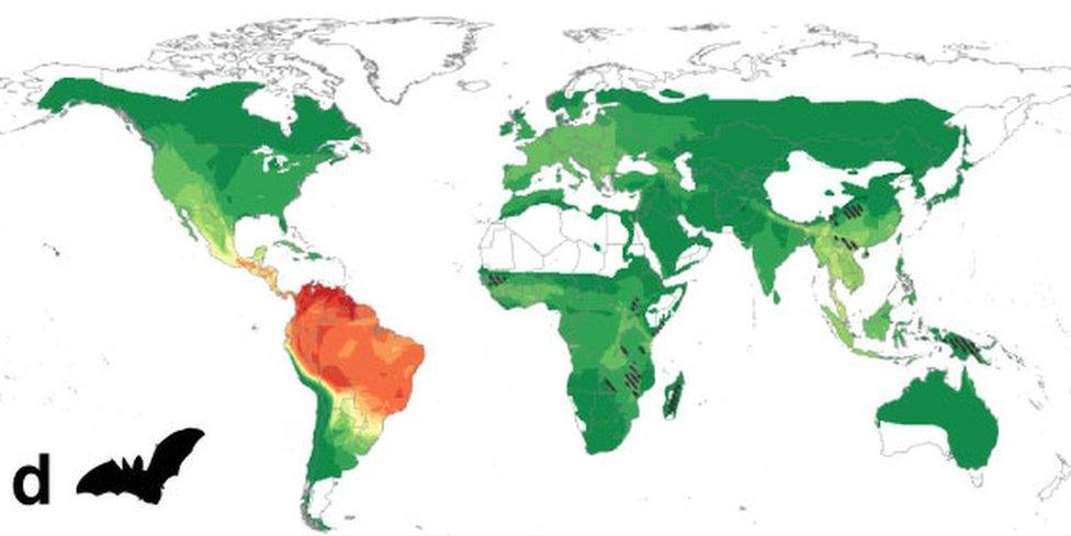 Bat risk map