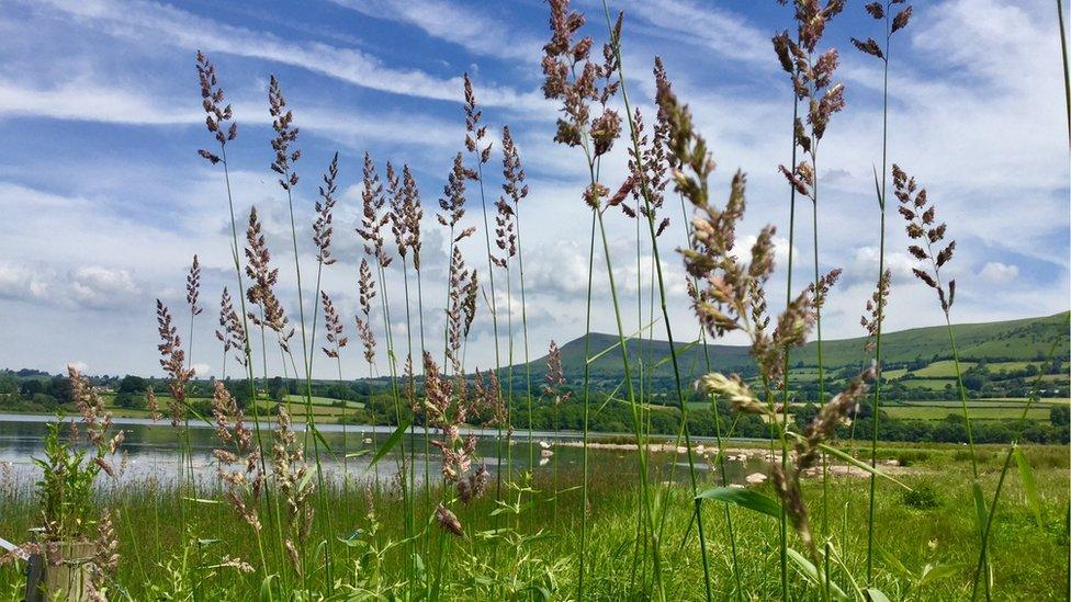 Llangorse Lake in Powys