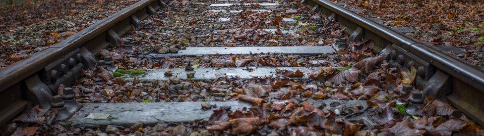 Leaves on a train track