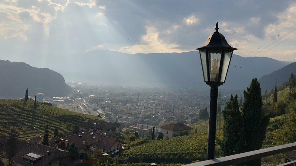 Bolzano vineyards