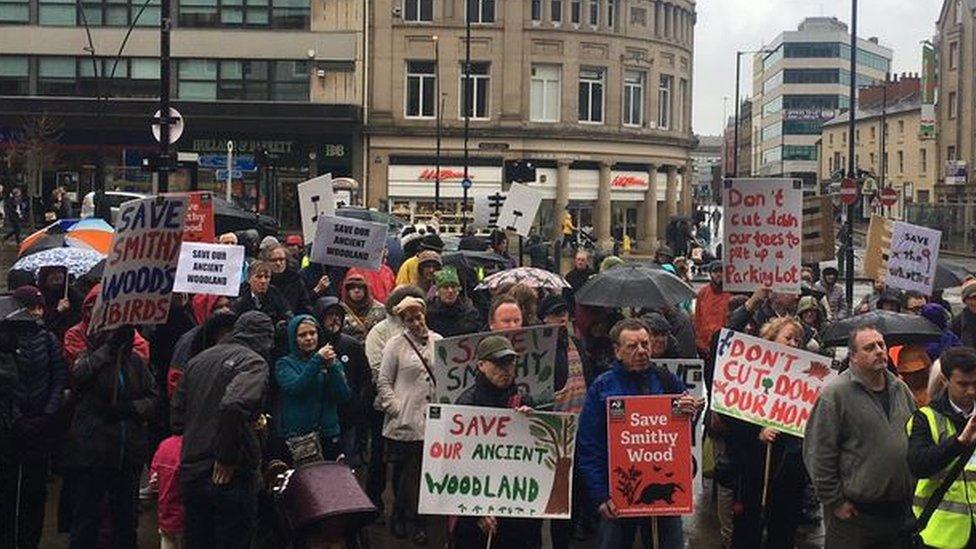 Smithy Wood protest, Sheffield (March 2017)