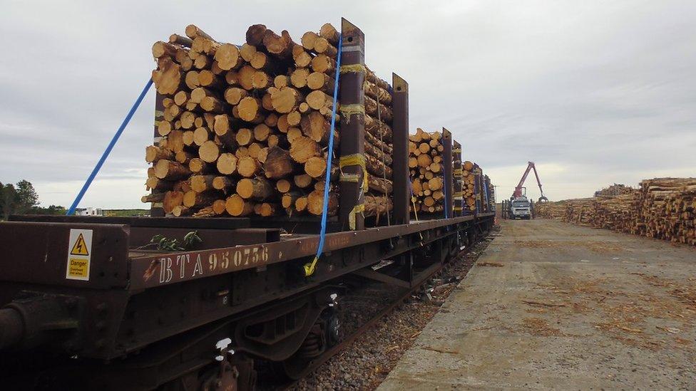 Timber rail freight