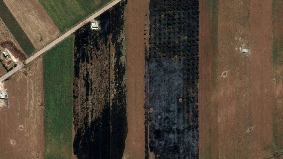 Satellite image released by DigitalGlobe/Maxar Technologies showing burnt farmland near Kafr Nabouda, in northern Hama province, Syria (26 May 2019)