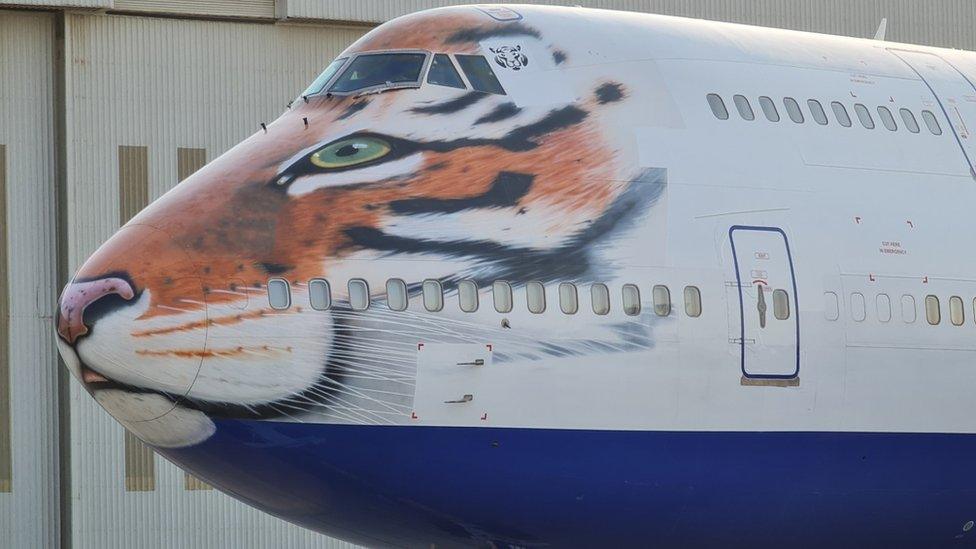 Plane with cheetah painting on the front