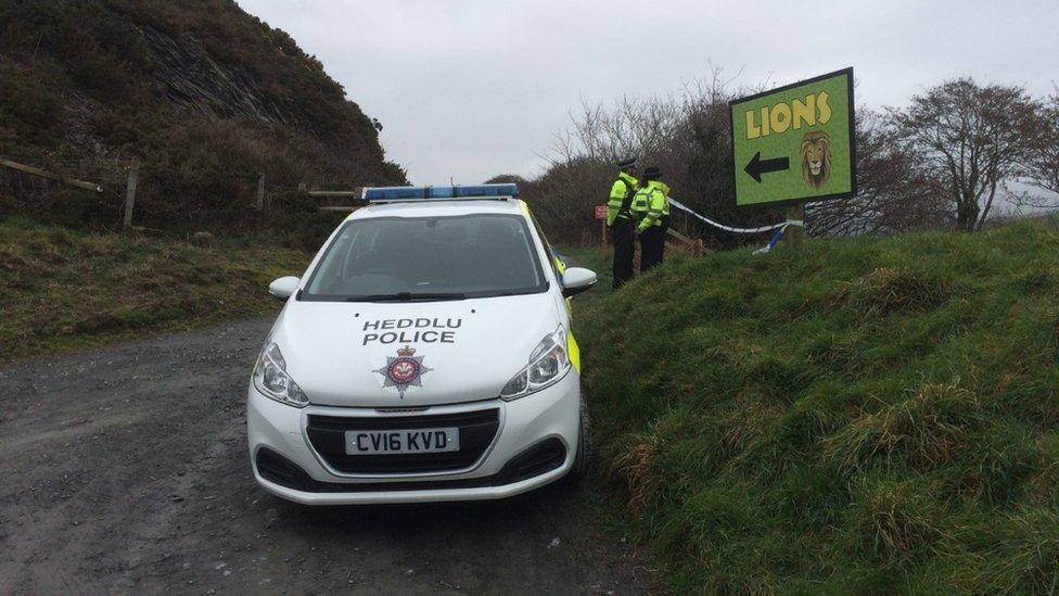 Police in Borth