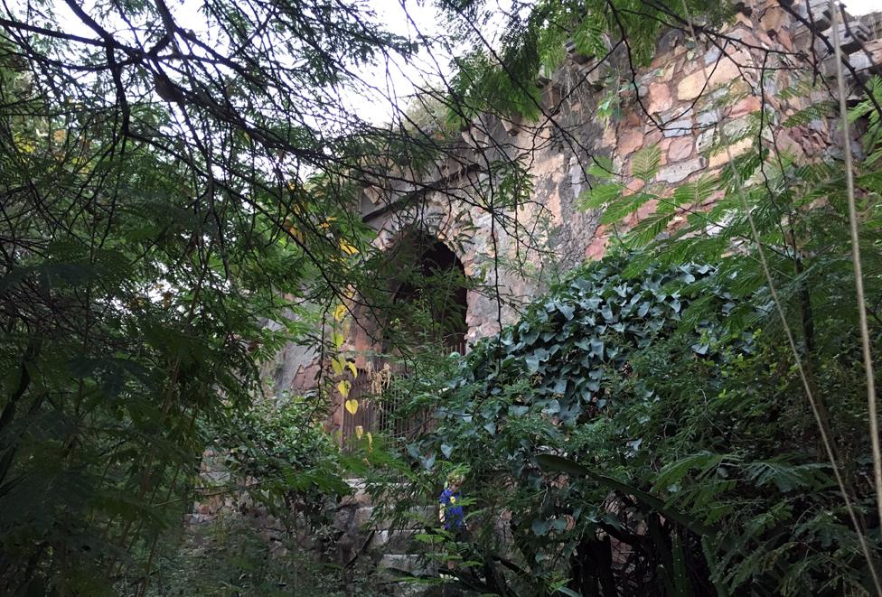 Brickwork of the lodge visible through trees