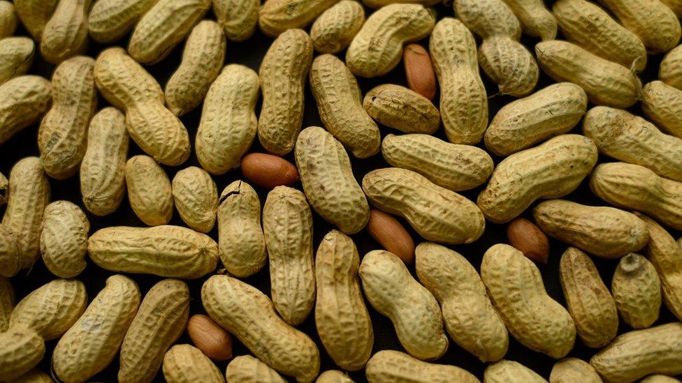 This Feb. 20, 2015 file photo, photo shows an arrangement of peanuts in New York