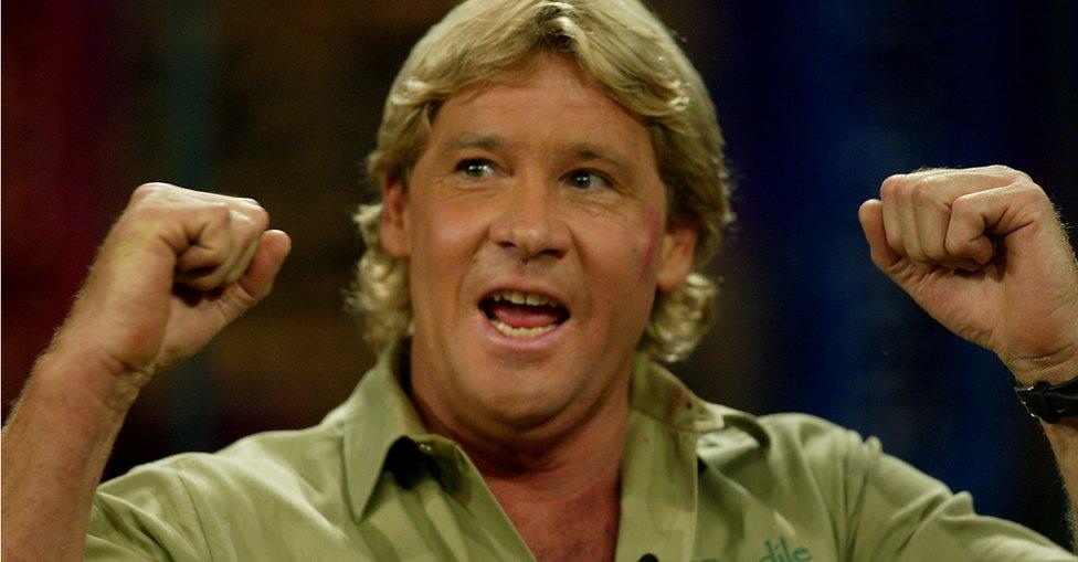 Steve Irwin