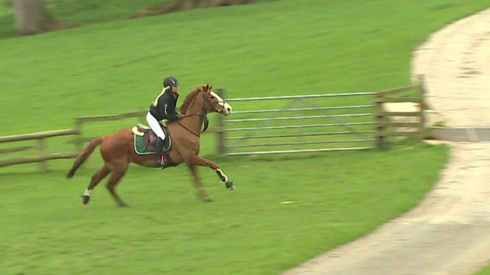 Jody Lewis riding a horse