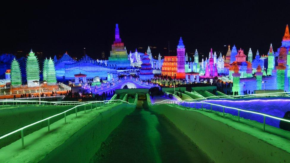 Picture of the ice sculptures at night.