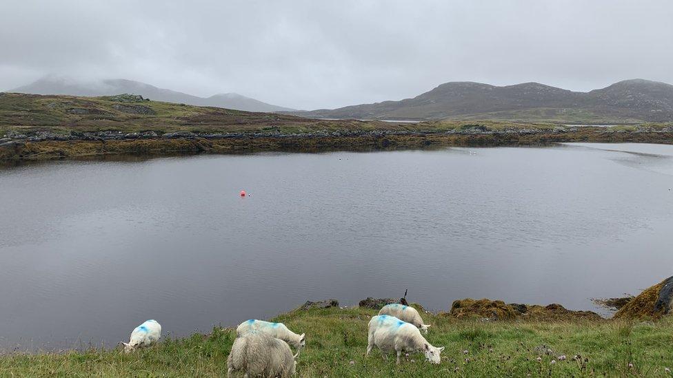 Grimsay