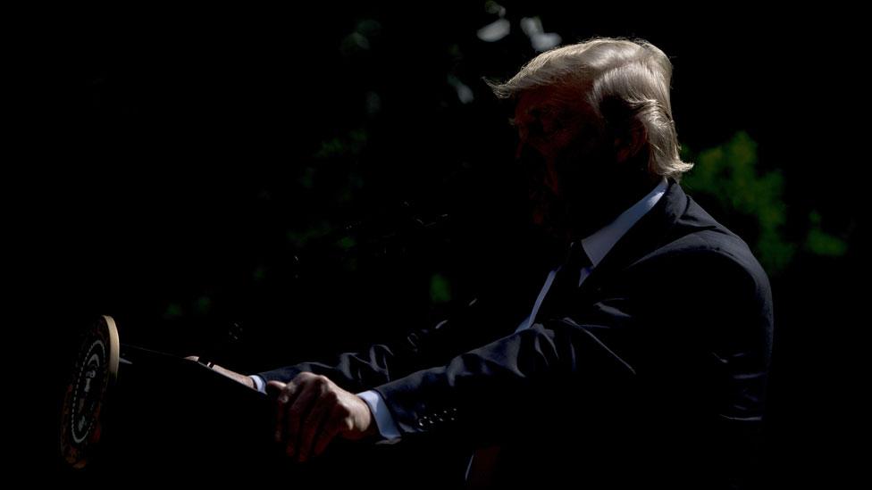 Trump in Rose Garden