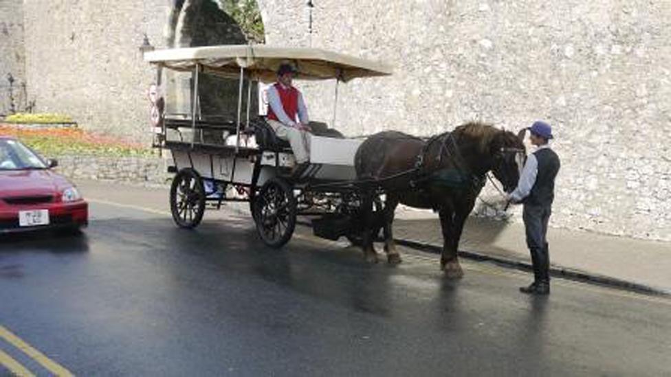 Tenby Carriage Rides